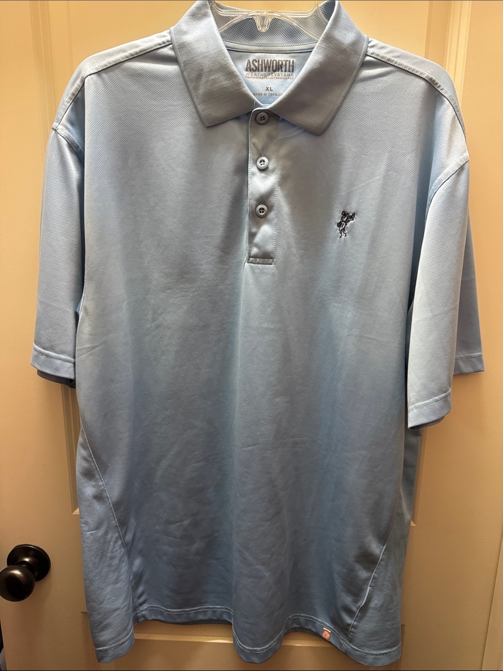 Ashworth Men's Polo in Pale Blue